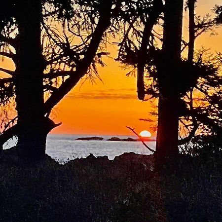 Black Rock Landing Ucluelet Ngoại thất bức ảnh