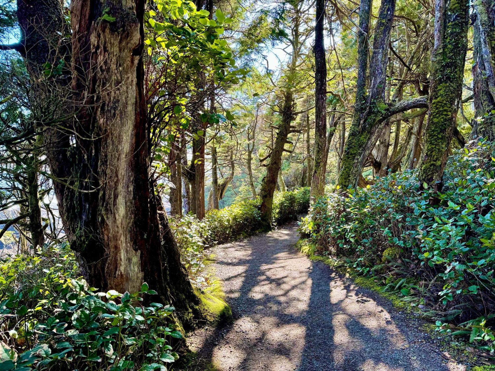 Black Rock Landing Ucluelet Ngoại thất bức ảnh